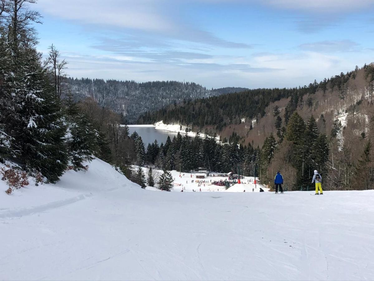 Appartement Vue Panoramique - 800m Pistes Hohneck - Wifi - Classé 3 étoiles La Bresse