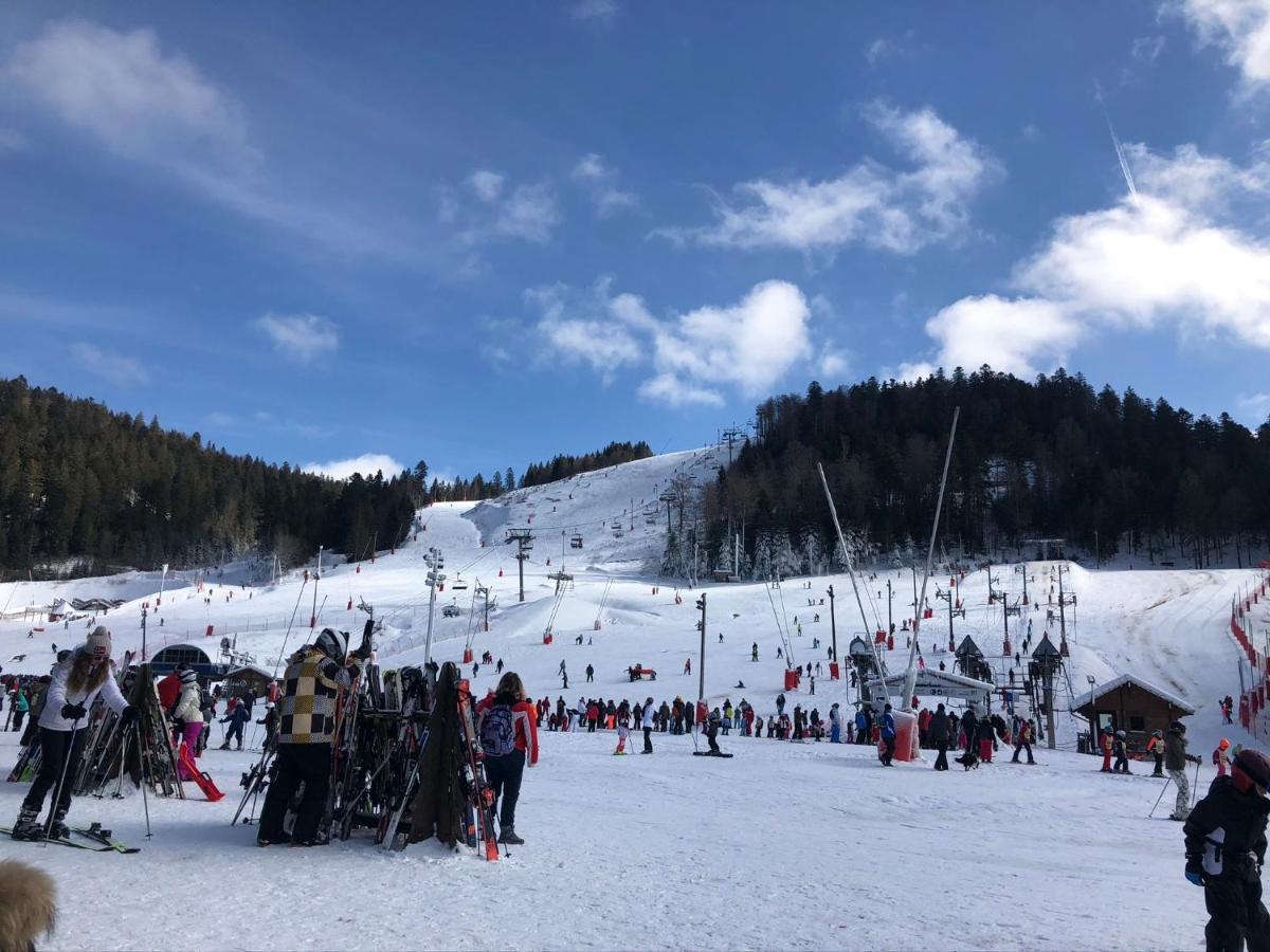 Appartement Vue Panoramique - 800m Pistes Hohneck - Wifi - Classé 3 étoiles La Bresse