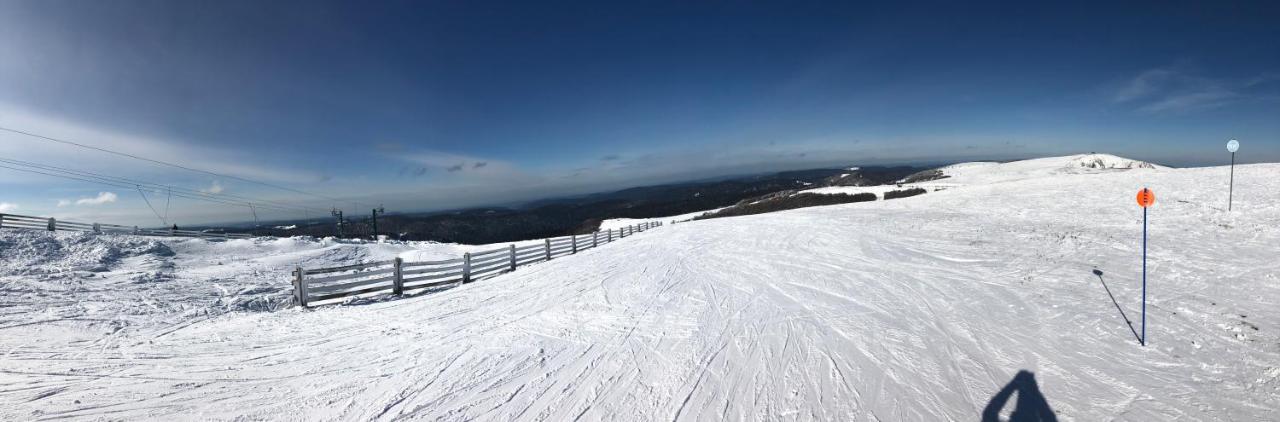 Appartement Vue Panoramique - 800m Pistes Hohneck - Wifi - Classé 3 étoiles *